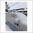 雪雪雪です！