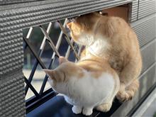 あけましておめでとうございます(^-^)