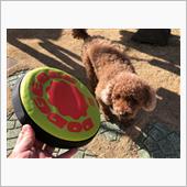 静かな正月を過ごしてるよ