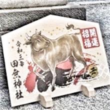 ２０２１🔖『初詣』・・・田無神社・・『四年目』・・『丑年』