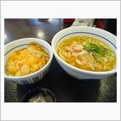 鶏塩うどん