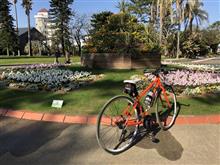 2021年　初　自転車