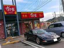 ホットウィール 徹底検証!ホワイトカー&フォルツァ比較 ホットウィール 徹底検証!ホワイトカー&フォルツァ比較