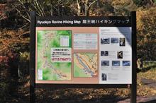 鬼怒川・川治の紅葉① 会津鬼怒川線 龍王峡 (2020 .11) 鬼怒川・川治の紅葉① 会津鬼怒川線 龍王峡 (2020 .11)