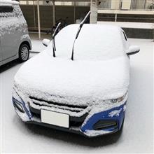 今日も雪！(◎_◎;)