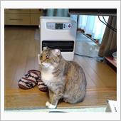 ファンヒーターでぬくぬくぅ～♡