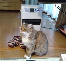 ファンヒーターでぬくぬくぅ～♡