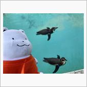 今日もご近所で