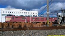 鉄道ネタですまんです「電気検測試験車」って珍しいのん？