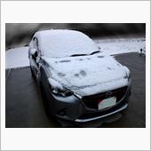 今シーズン初冠雪