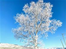 吹雪の中で。 吹雪の中で。