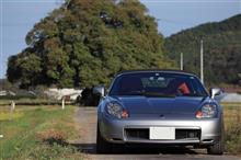 カメラ修行・・・このー木、何の木♪