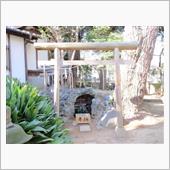千葉公園に富士塚か？