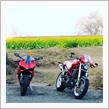 プチツー…!!🏍💨