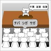 今日の購入品