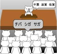 今日の購入品