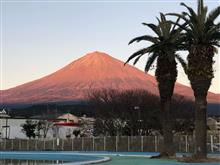 早いものでもう1月中旬