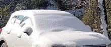 都心でも明日は雪かも。ドキドキ。