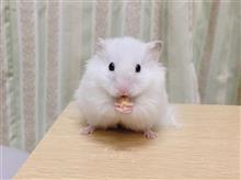 乗り換えました・・・ 乗り換えました・・・