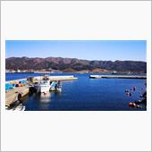 久しぶりのポカポカ陽気