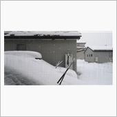 またもや暴風雪
