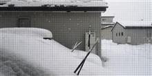 またもや暴風雪