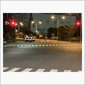 普段いないのに・・・・