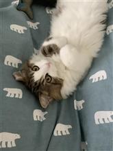 メチャかわいい！