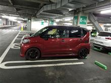 タローとのお別れ