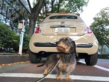 パンナちゃん3回目の車検