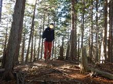 世界遺産・黒河道（自宅から高野山まで歩きました！）