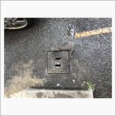 雨水枡のフタ