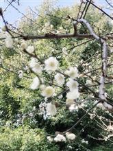 ２１４🔖小野照崎神社…『如月＆月参り』