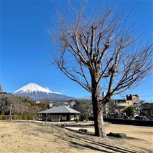ふらりとお散歩🚶‍♂️ 〜 今年の冠雪はそろそろ・・・🗻