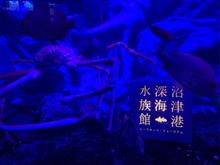 灯台下暗し