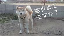 今月の妄想(不治の病) 今月の妄想(不治の病)