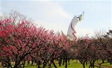 万博記念公園 ～梅まつり2021～