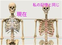 マンデラエフェクト 人体編 