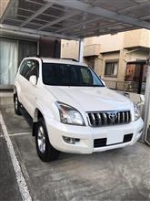 色褪せないデザイン
