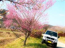 梅 は 百 花 の 魁 梅 は 百 花 の 魁