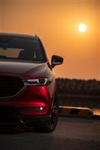 所有欲を満たす日本一の3列SUV