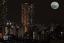 忘れずに撮ってみた