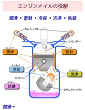 選ぶ理由は？