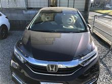 日本では希少なクルマ