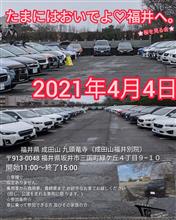 イベント：たまにはおいでよ?福井へ　桜を観る会