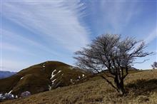 尾根歩きは楽し♪竜ヶ岳登山