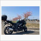 ninja1000sx 半年 ...