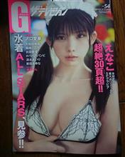 グラビア ザテレビジョンにえなこ、沢口愛華