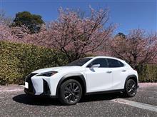 埼玉県川口市の素敵なところ（早咲きの桜と国の指定重要文化財）
