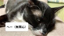 JC1ライフのマフラーステー破断修理 JC1ライフのマフラーステー破断修理